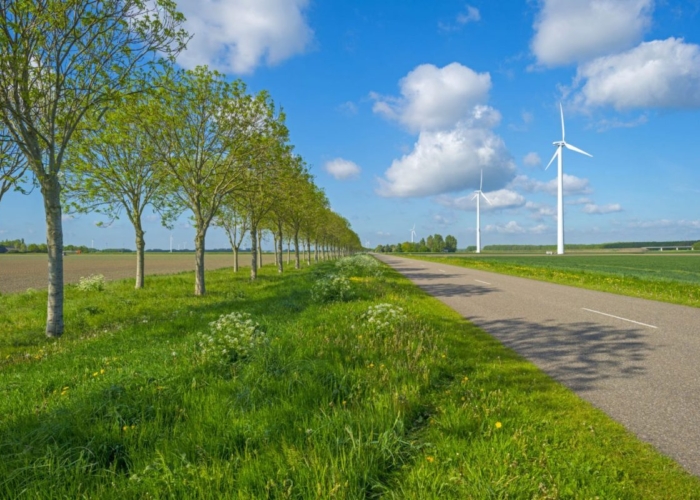 belanghebbende voorkeursrecht omgevingsvergunning bouwrecht bestemmingsplan