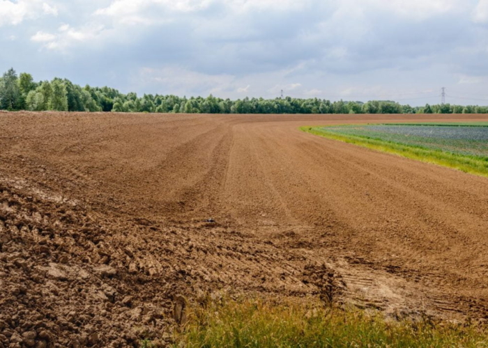 ruilplan pacht landbouwgrond bestemmingsplan bouwgrond omgevingswet toestemmingsvereiste publiekrechtelijke en privaatrechtelijke toestemming huur en pacht