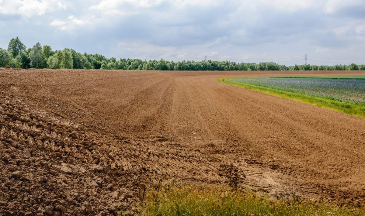 ruilplan pacht landbouwgrond bestemmingsplan bouwgrond omgevingswet toestemmingsvereiste publiekrechtelijke en privaatrechtelijke toestemming huur en pacht