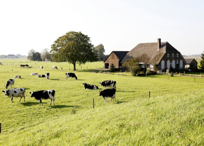 plattelandswoning pacht erfpacht gedoogplicht bedrijfsoverdracht bedrijfsopvolging agri agrarisch natuurvergunning