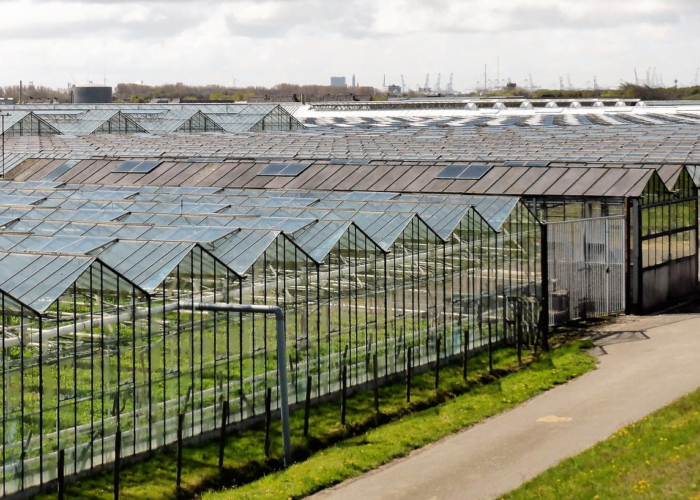 tuinbouw pacht kas teelt natura 2000