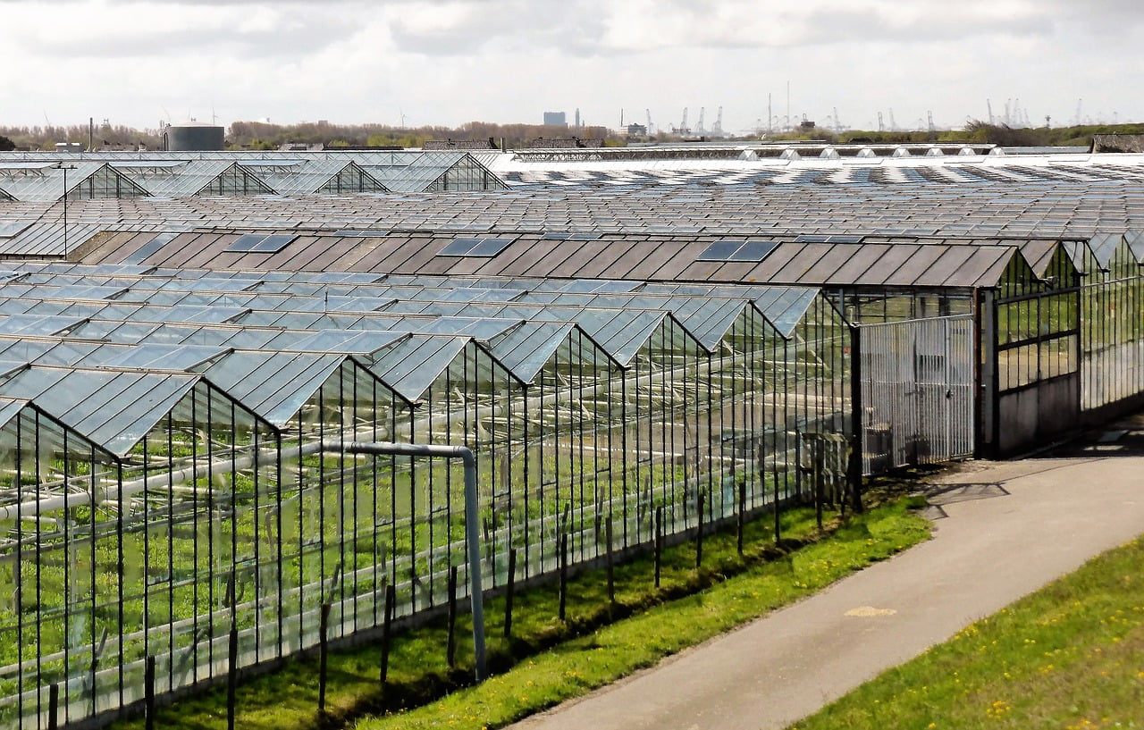 tuinbouw pacht kas teelt natura 2000